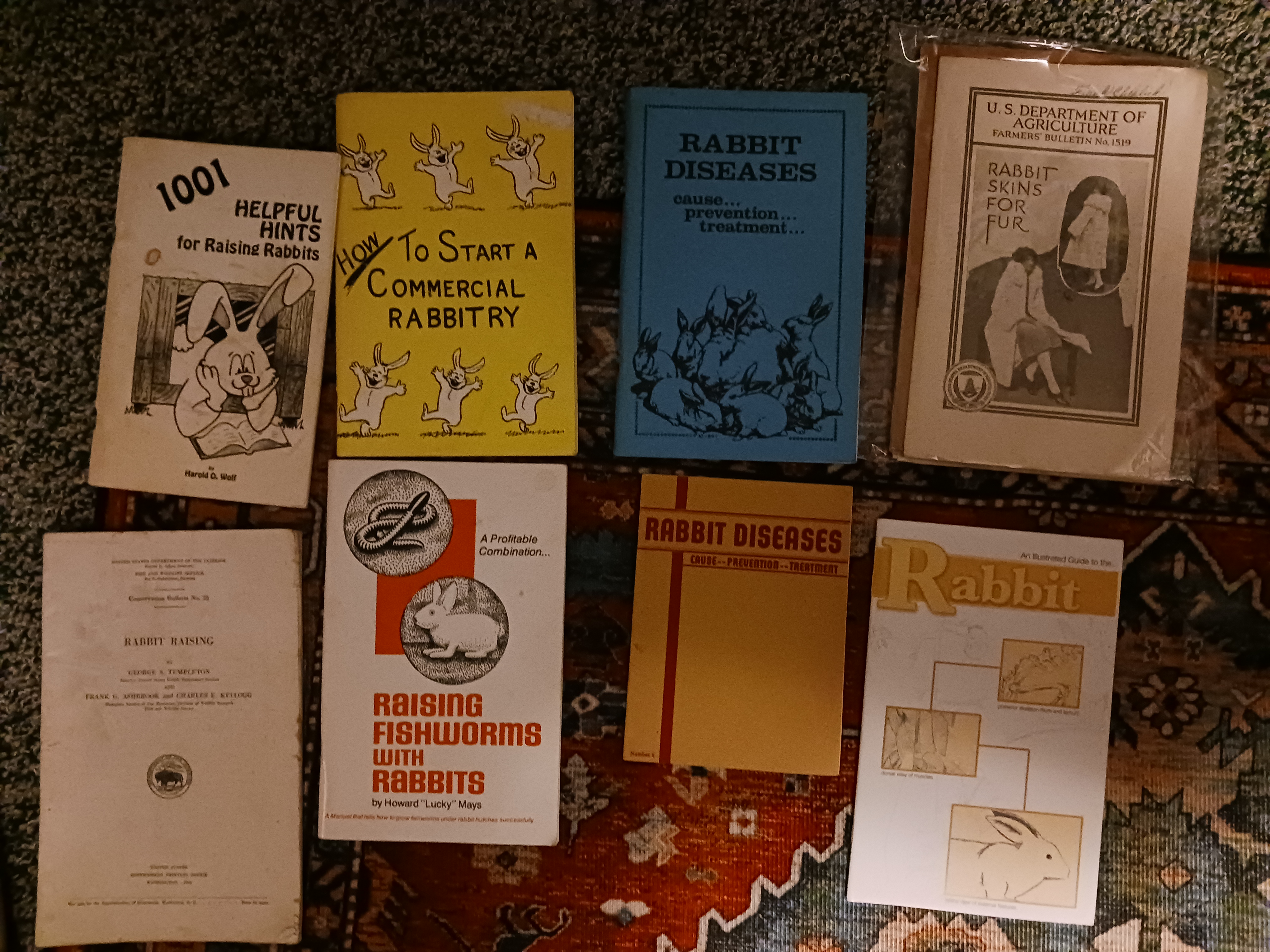 Rise and Shine Rabbitry | Raising Meat Rabbits To Save The World!