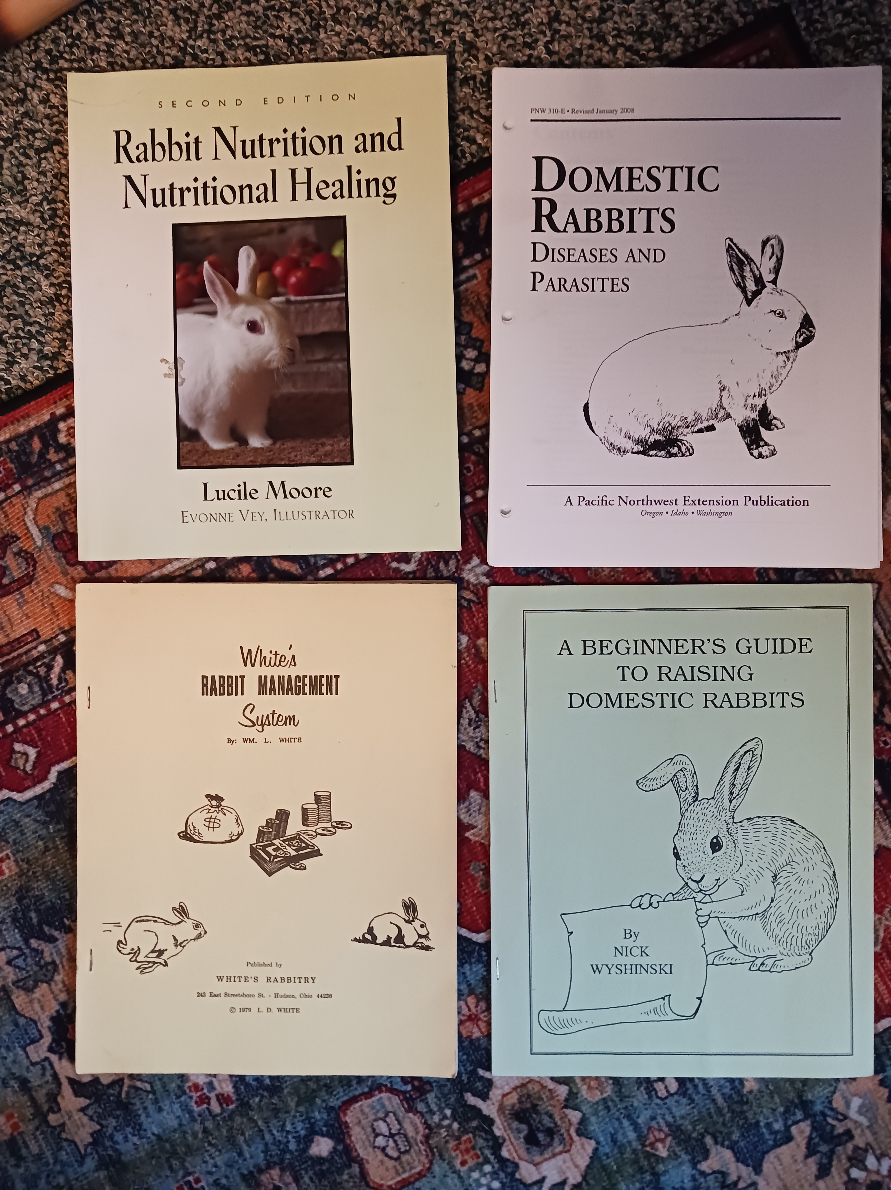 Rise and Shine Rabbitry | Raising Meat Rabbits To Save The World!